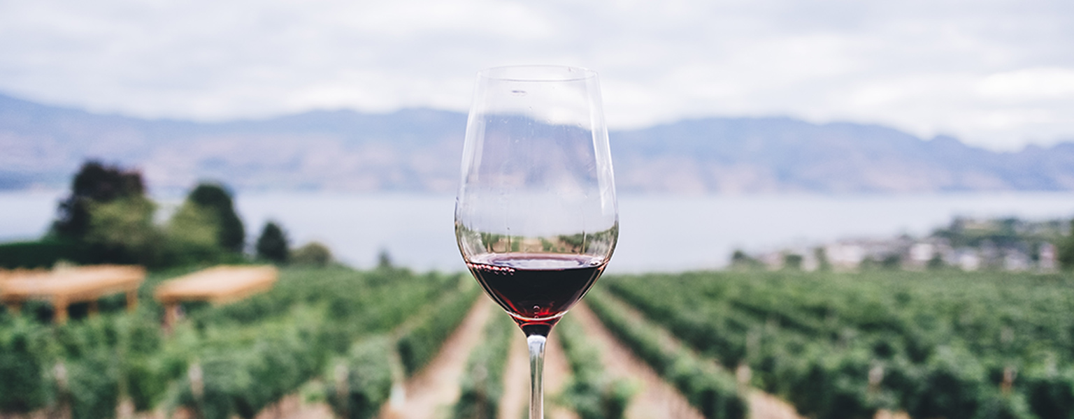 Header-Image-Wine-Tasting